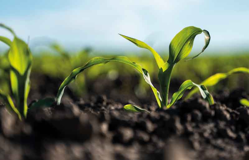 Agriculture, Forestry & Food | System logics Think Tank GmbH