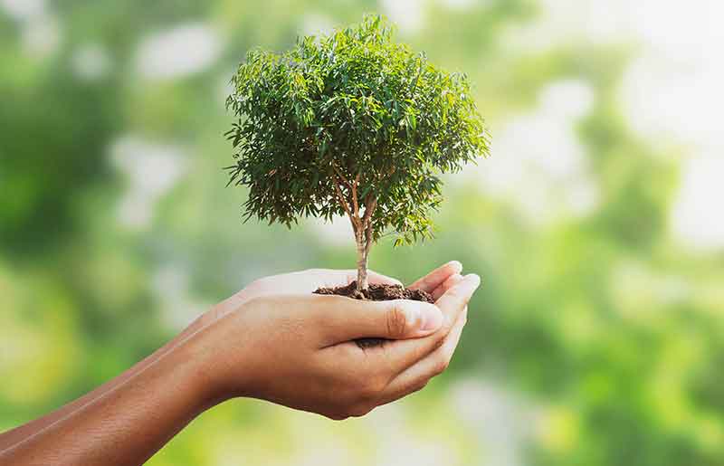 Sustainable Development | System logics Think Tank GmbH